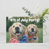 Invitation Parti 4 juillet Golden Retriever (Debout devant)