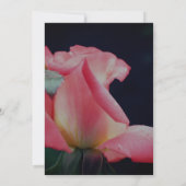 Invitation Parti Floral Rosebud Rose (Dos)