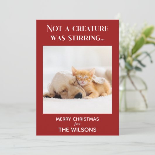 Invitation pas une créature ne remuait les photos rouges noël (Debout devant)