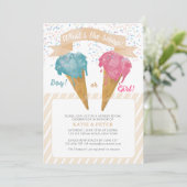 Invitation Pastel Retro Glace Cream Genre Revevela Party (Debout devant)