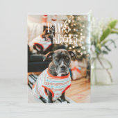 Invitation Pâtes et baisers Silly Pet Photo Holiday Card (Debout devant)