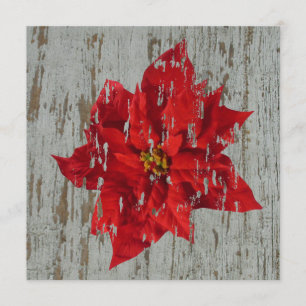 Invitation Patiné Poinsettia Mariage d'hiver / Noël