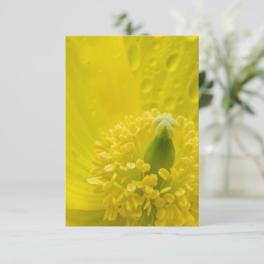 Invitation Pavot jaune oriental (Debout devant)