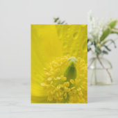 Invitation Pavot jaune oriental (Debout devant)