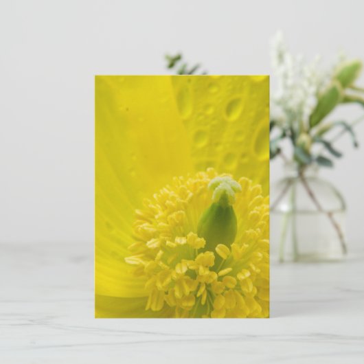 Invitation Pavot jaune oriental (Debout devant)