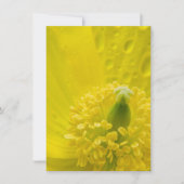 Invitation Pavot jaune oriental (Devant)