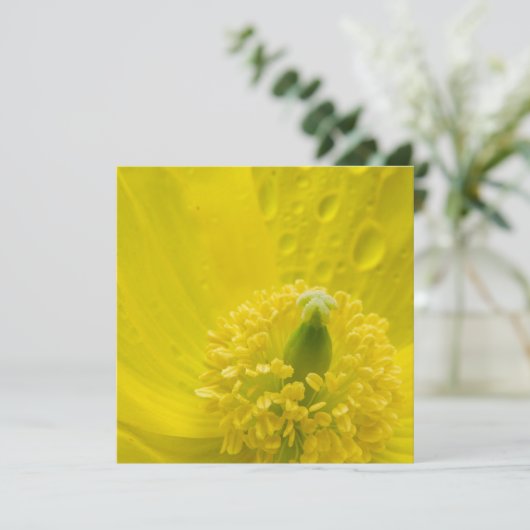 Invitation Pavot jaune oriental (Debout devant)