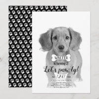 Pawty ! Chien animal de compagnie noir photo d'ann