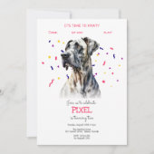 Invitation Pawty, fête d'anniversaire de chien (Devant)