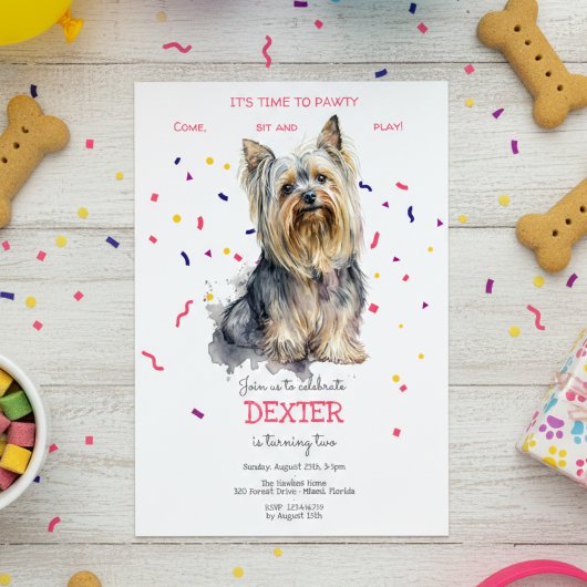 Invitation Pawty, fête d'anniversaire de chien