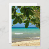 Invitation Paysage de plage. Philippines. Moalboal. Plage bla (Devant / Derrière)