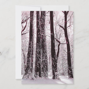 INVITATION PAYSAGE HIVERNAL NEIGEUX DES BOIS FORESTIERS