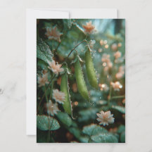 Pea in the Pod | Petits Pousses Sucrés