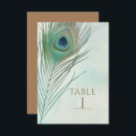 Invitation Peacock Feather Boho Chic Watercolor Numéro de tab<br><div class="desc">Carte de numéro de tableau Peacock Feather Boho Chic Watercolor. Cherchez les articles correspondants dans mon magasin. Contactez-moi pour une commande personnalisée.</div>