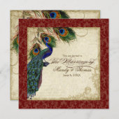 Invitation Peacock & Feather Mariage formel Inviter la Bourgo (Devant / Derrière)
