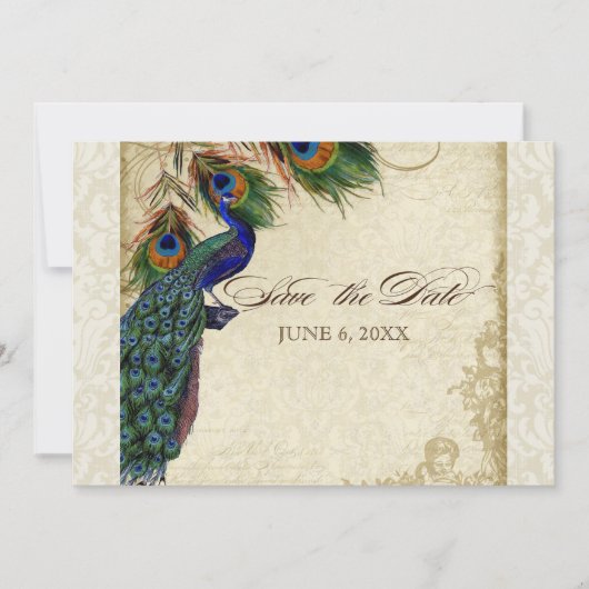 Invitation Peacock & Feathers Formal Save the Date Cream (Devant)