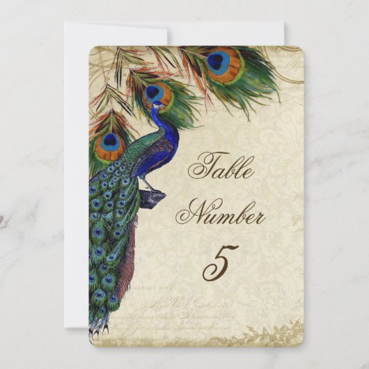 Invitation Peacock & Feathers Mariage officiel Numéro de tabl (Devant)