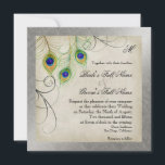 Invitation Peacock Feathers Silver Mariage damassé papeterie<br><div class="desc">REMARQUE : Il s'agit d'une invitation imprimée à plat, il n'y a pas de calques ni d'encre métallique argentée utilisés pour la créer. Cependant, le design a l'apparence d'une image multicouche et argentée. PALETTE DE COULEUR : métal argenté, gris, crème, bronzé, or, vert, turquoise, bleu et violet. COLLECTION DE DESIGN...</div>