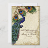 Invitation Peacock & Feathers Thé Mariage officiel (Devant)
