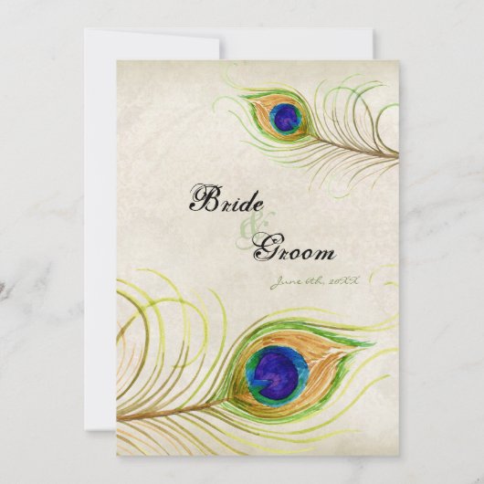Invitation Peacock Feathers Turquoise Bleu Élégant Mariage In (Dos)