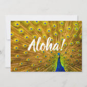 Invitation Peacock, Silver Falls, Kauai, Hawaii (Devant)