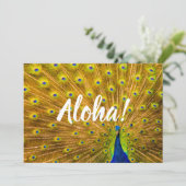 Invitation Peacock, Silver Falls, Kauai, Hawaii (Debout devant)