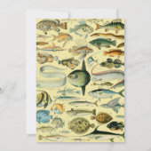 Invitation Pêche scientifique vintage (Dos)