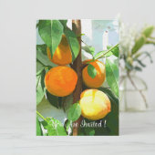 INVITATION PÊCHES (Debout devant)