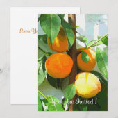 INVITATION PÊCHES (Devant / Derrière)