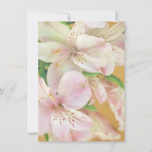 Invitation Peinture Alstromera douce (Dos)