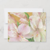 Invitation Peinture Alstromeria douce (Dos)
