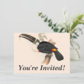 Invitation Peinture animalière d'antiquités Toucans (Debout devant)