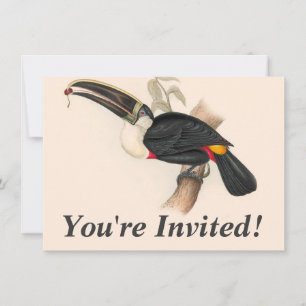 Invitation Peinture animalière d'antiquités Toucans