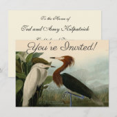 Invitation Peinture de la faune d'Audubon Heron violet (Devant / Derrière)