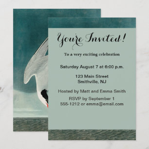 Invitation Peinture de la faune de la sterne de l'Arctique Au