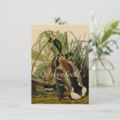 Invitation Peinture d'oiseaux de Mallard Duck Audubon (Debout devant)