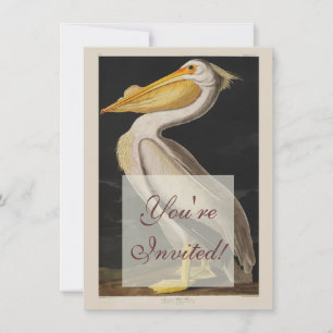 Invitation Pélican blanc antique de John James Audubon côtier