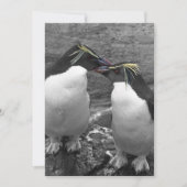 Invitation Penguin Colour Splash (Devant)