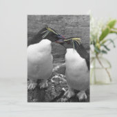 Invitation Penguin Colour Splash (Debout devant)