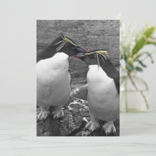 Invitation Penguin Colour Splash (Debout devant)