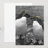 Invitation Penguin Colour Splash (Devant / Derrière)