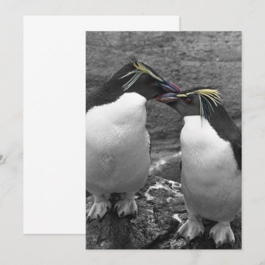 Invitation Penguin Colour Splash (Devant / Derrière)