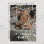 invitation personnalisable du tigre (Devant / Derrière)