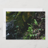 Invitation personnalisée de Little Waterfall Maria (Dos)