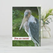 Invitation personnalisée Marabou (Debout devant)