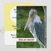 Invitation personnalisée Marabou (Devant / Derrière)