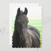 Invitation Personnaliser du produit (Devant / Derrière)