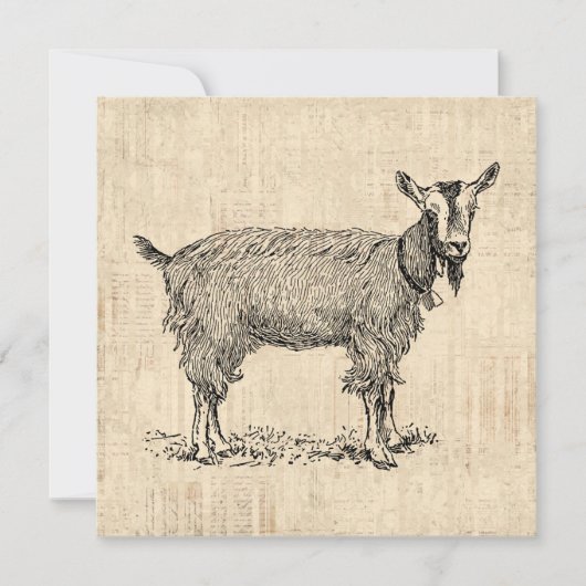 Invitation Petit chèvre avec Bell Illustration Script antique (Devant)