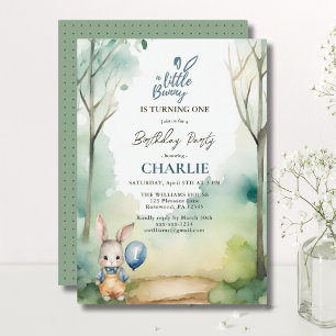 Invitation Petit Garçon Lapin Turner Une Aquarelle Anniversai