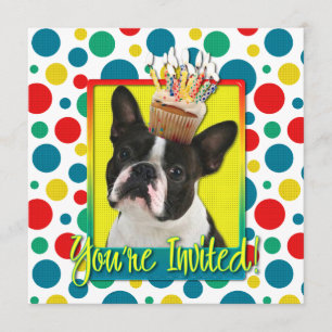 Invitation Petit gâteau d'invitation - Boston Terrier